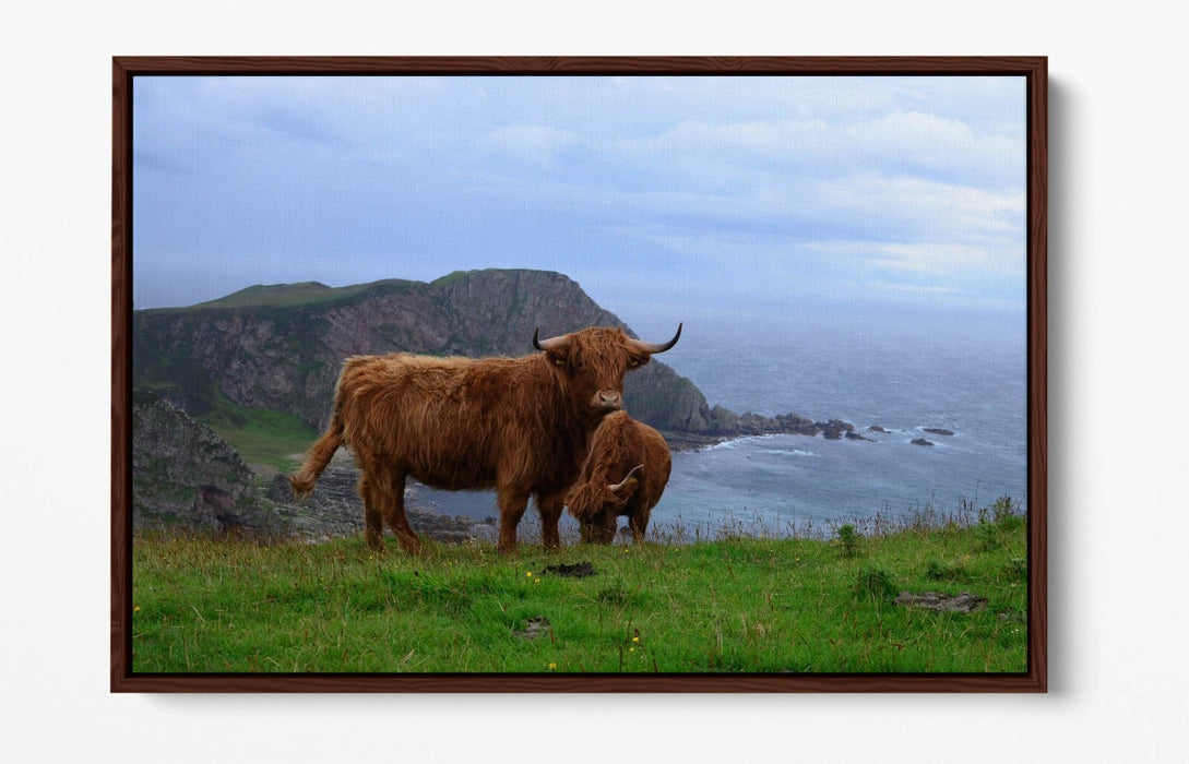 Canvas Wall Art - Highland Cows Coastal Landscape Print | Float Effect, Handmade