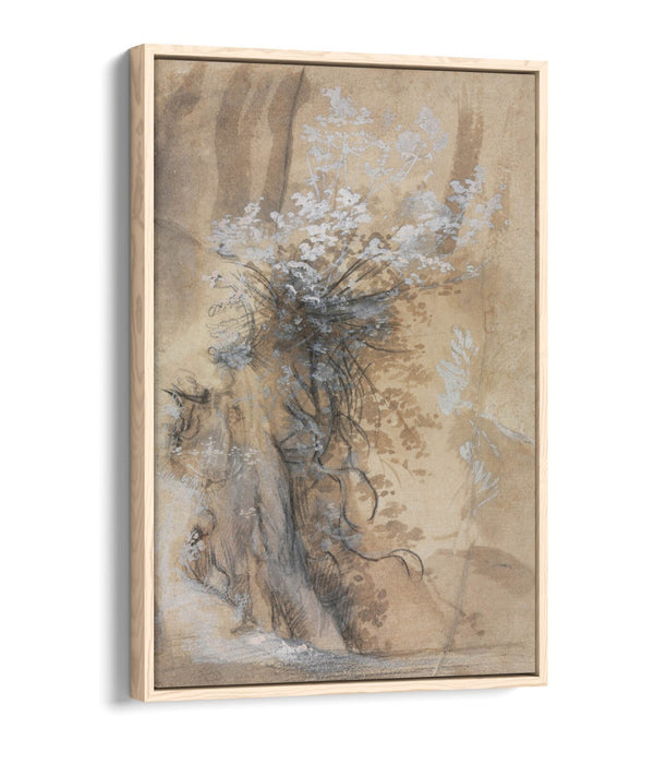 FEDERICO BAROCCI, FLOWERING BUSH -FLOAT EFFECT CANVAS WALL ART PRINT