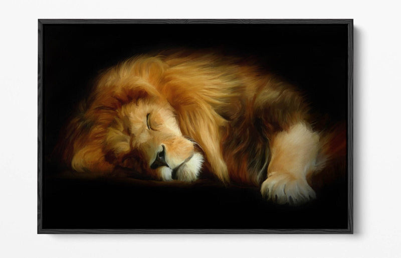 Canvas Wall Art - Sleeping Lion Handmade Float Effect Canvas Print | Premium Frame