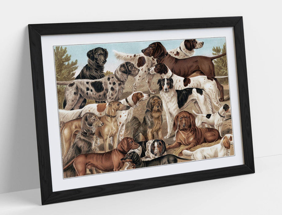 Dog Wall Art - Breeds of dog from The Yuzhakov's Bolshaya Entsiklopediya | Art Print and Wood Frame