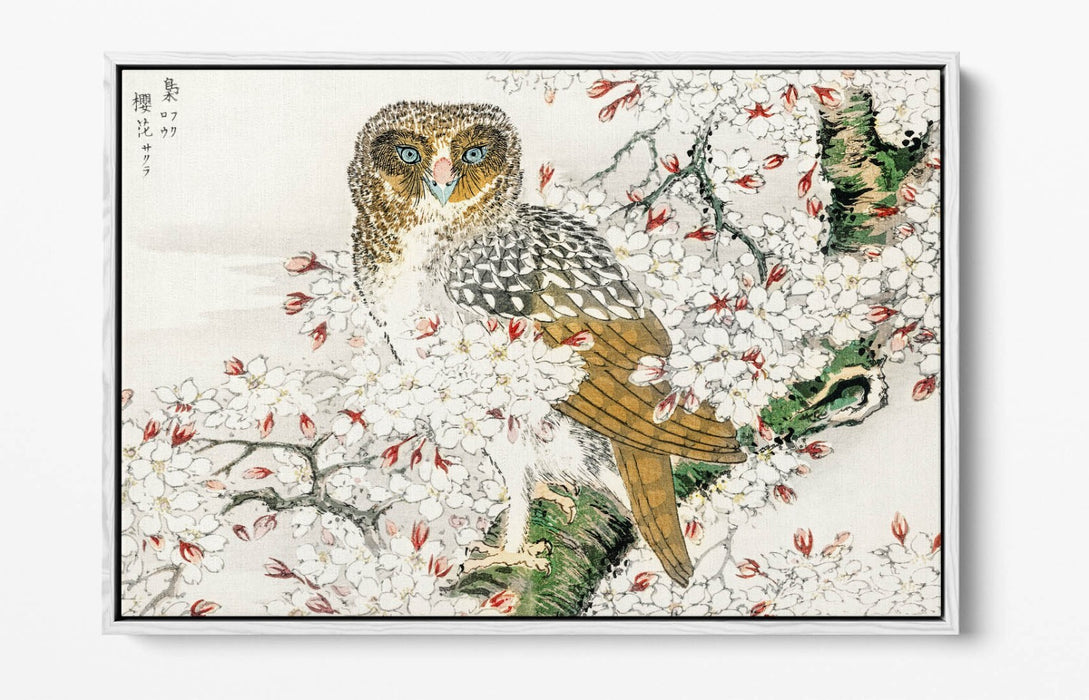 Canvas Wall Art Print – Numata Kashu Owl & Cherry Blossom Float Effect
