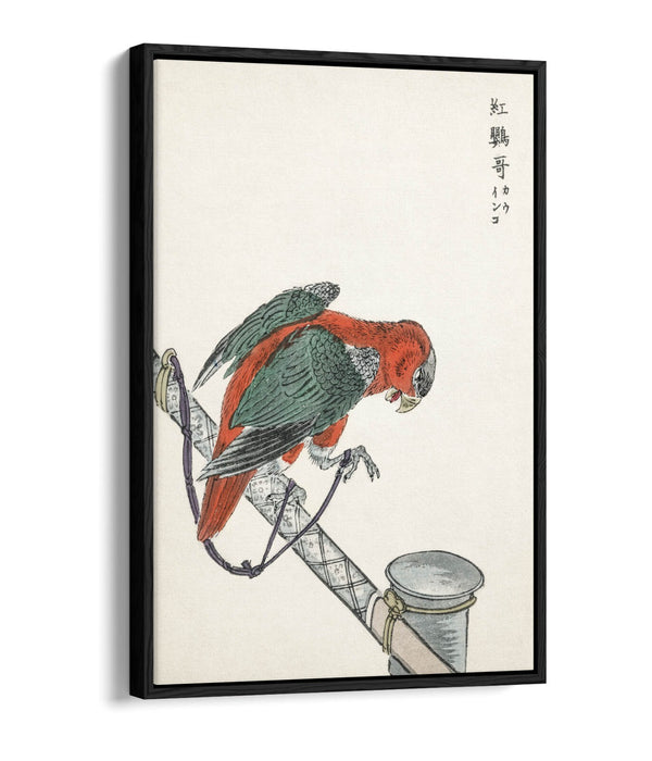 Canvas Wall Art - Macaw Float Effect Canvas Art Print | Handmade UK