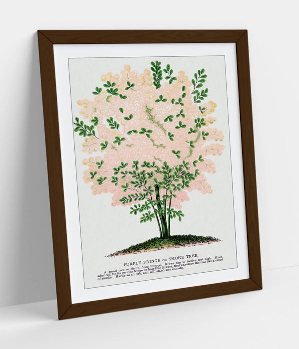 Framed Wall Art Poster - Purple Fringe Tree Print | Handmade UK Wall Art, Matte Paper