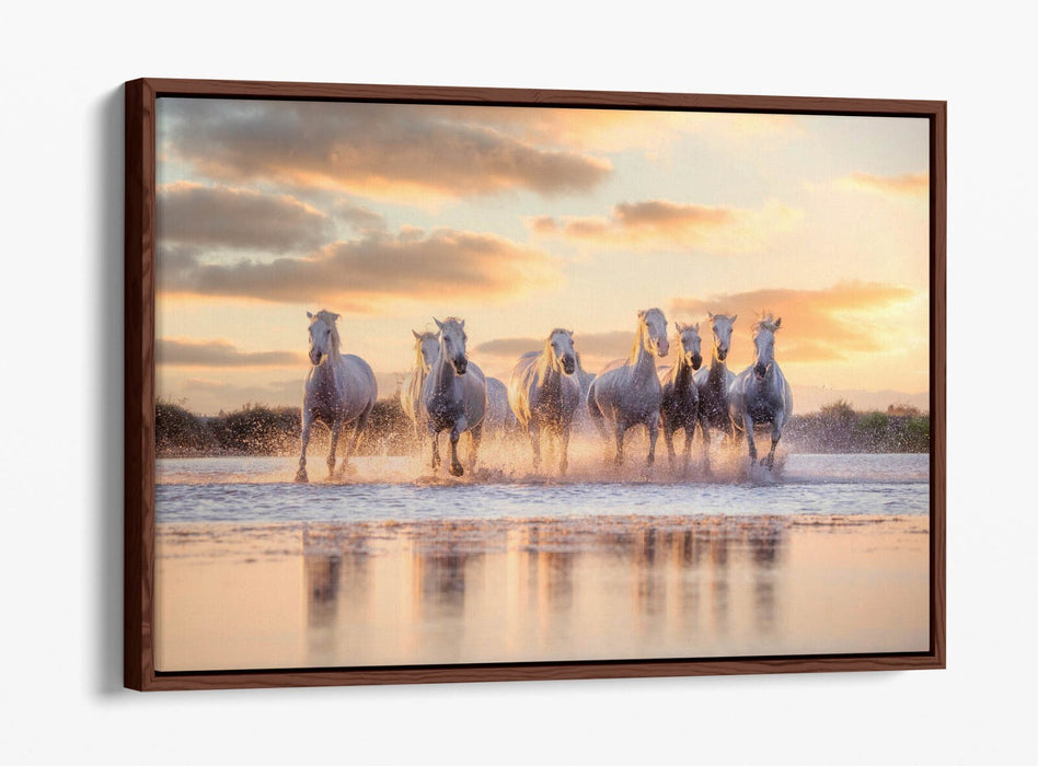 Canvas Wall Art - Wild White Horses Running On Water | Float Effect Canvas Print