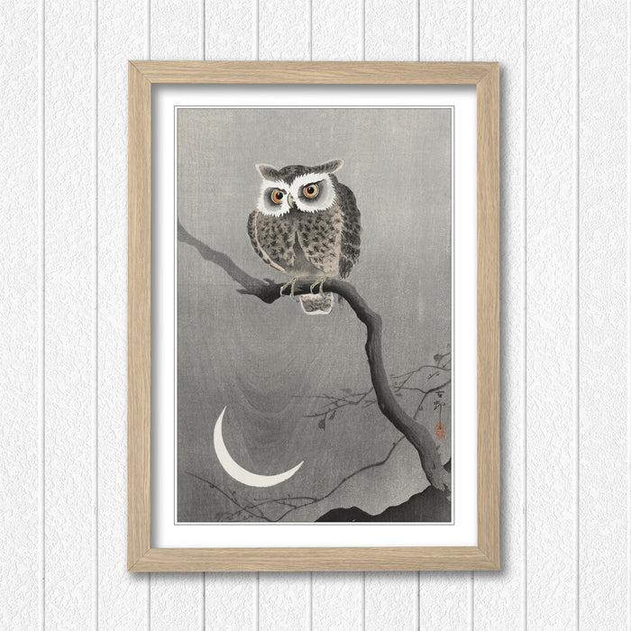 COOL OWL FRAMED WALL ART PICTURE PRINT ARTWORK POSTER JAPANESE 4 SIZES