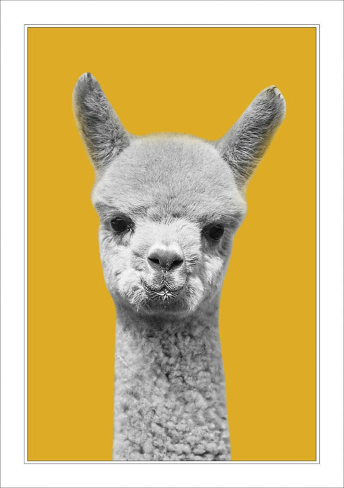 Happy Alpaca Wall Art – Framed Black White Poster With Yellow Mustard Decor