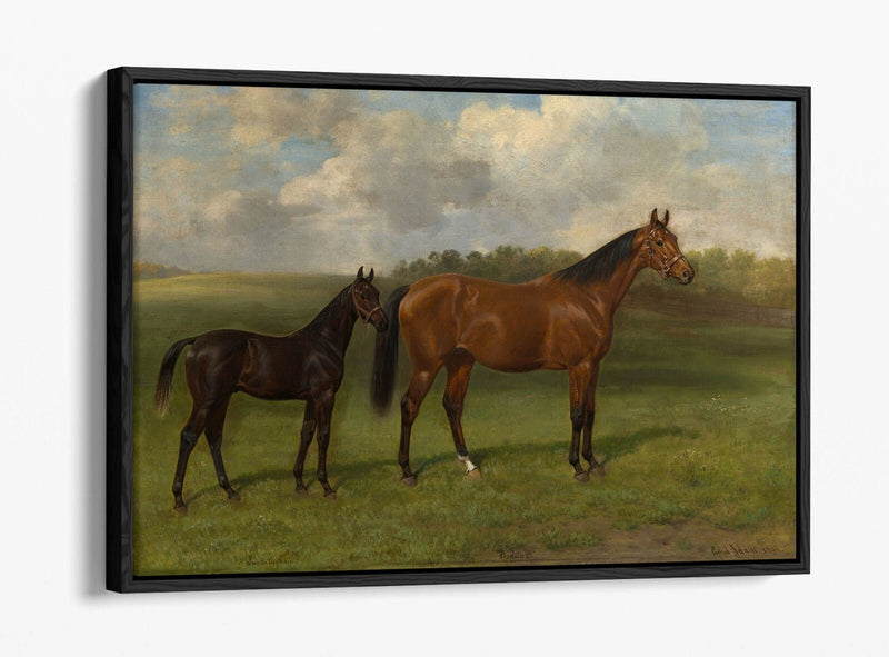 Canvas Wall Art Print Featuring Perdita II With Foal | Premium Float Effect Canvas UK