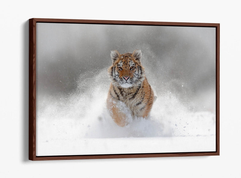 Tiger Canvas Wall Art – Running Tiger Artwork with Premium Float Frame | Handmade UK