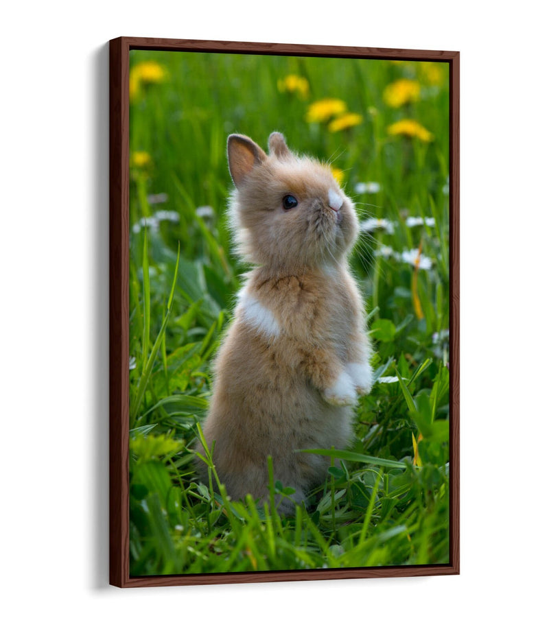 Bunny Canvas Wall Art – Cute Rabbit Home Decor With Float Effect Canvas Print