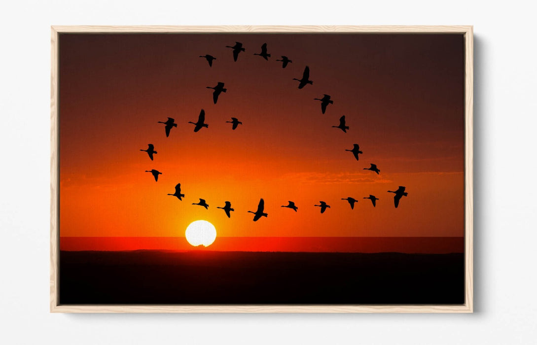 Canvas Wall Art - Heart Shaped Decor With Float Effect | Handmade Sunset Birds Print