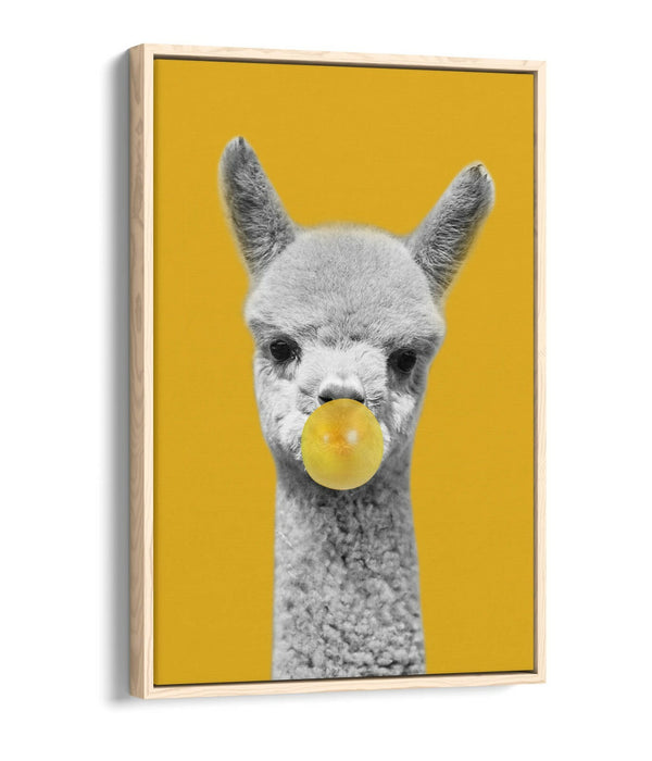 ALPACA BLACK WHITE YELLOW MUSTARD BUBBLE FLOAT EFFECT CANVAS WALL ART PIC PRINT