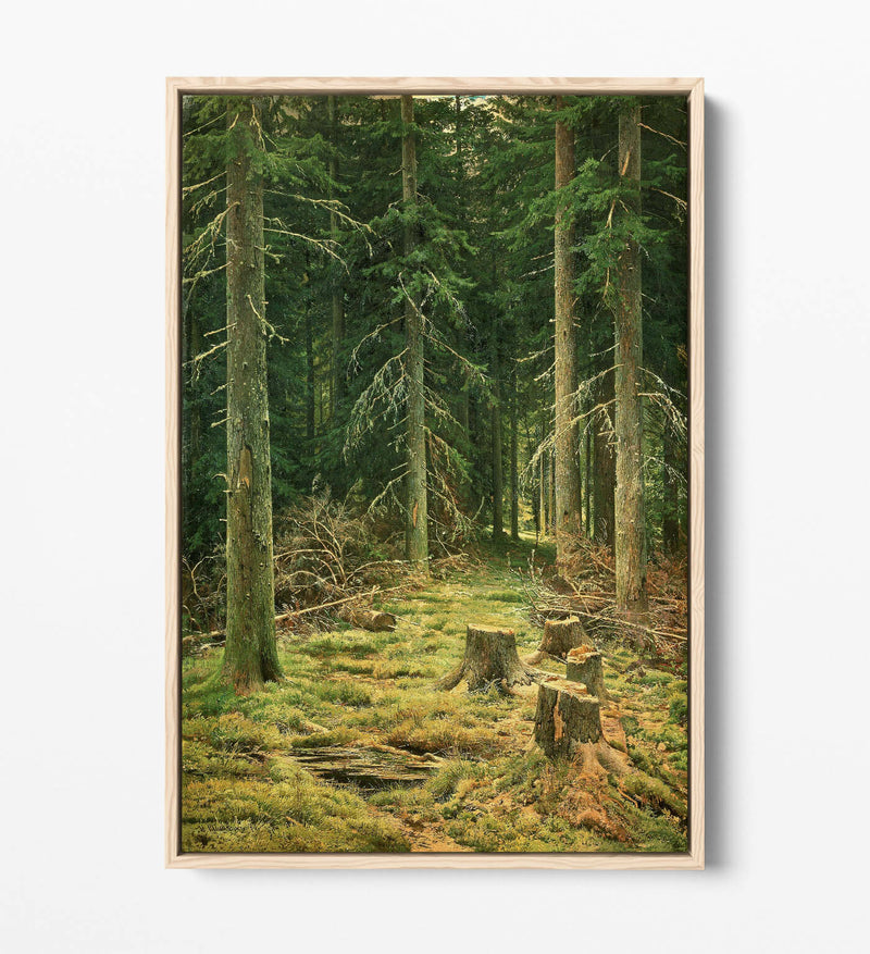 Canvas Wall Art - Ivan Shishkin Coniferous Forest Float Effect Canvas Print