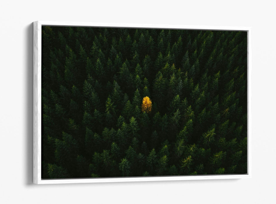 YELLOW TREE IN FOREST HOME BEDROOM DECOR FLOAT EFFECT CANVAS WALL PRINT