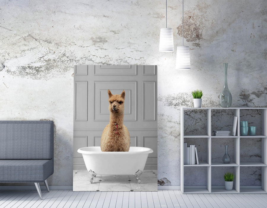 LLAMA IN BATHTUB -QUIRKY CANVAS WALL ART PRINT ARTWORK ANIMAL FRAMED BATHROOM