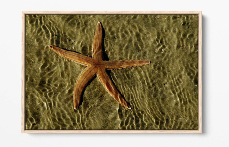 Canvas Wall Art - Starfish On Sand Float Effect Premium Handmade Print
