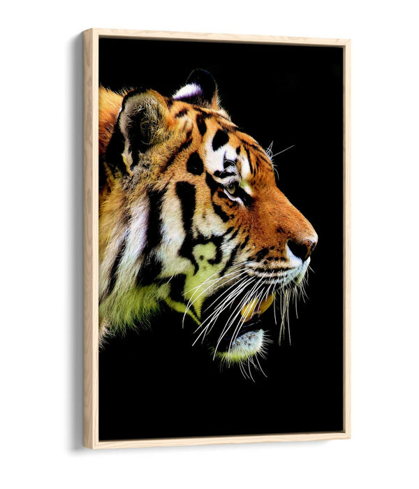 TIGER HEAD -FLOAT EFFECT CANVAS WALL ART PIC PRINT- BLACK