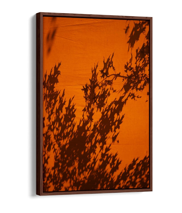 Canvas Wall Art Print - Orange Sunset Art With Tree Leaves Shadow | Float Effect Canvas