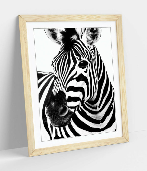 ZEBRA HEAD -FRAMED POSTER WALL ART PRINT ARTWORK- BLACK & WHITE
