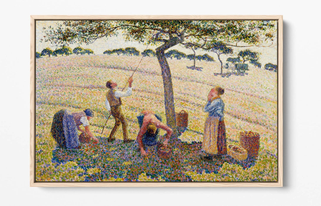 Float Effect Canvas Art – Apple Harvest by Camille Pissarro | Premium 30mm Deep Frame