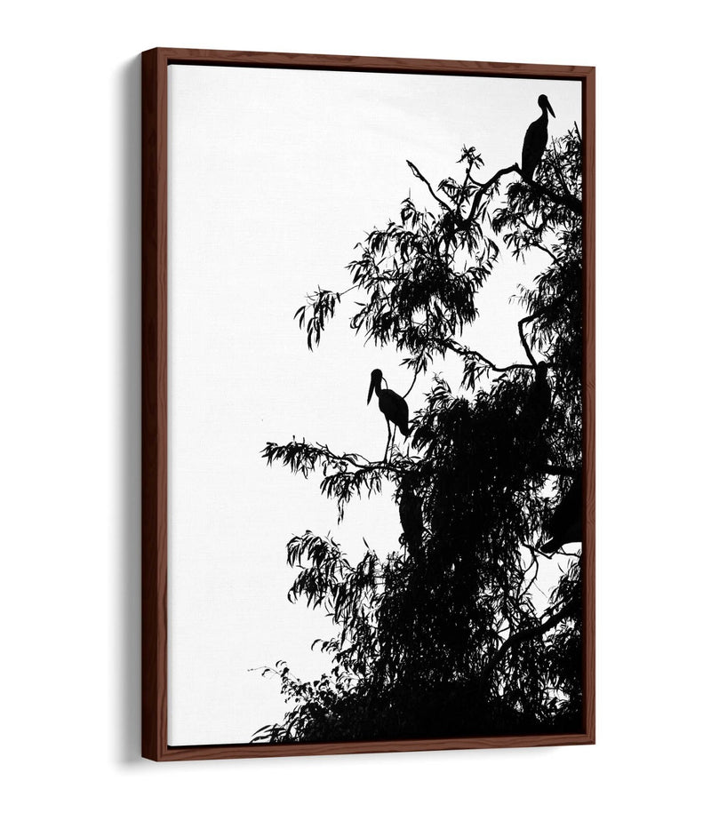 Canvas Wall Art – Bird Silhouette on Tree | Handmade Float Effect Frame, Premium Varnish Finish