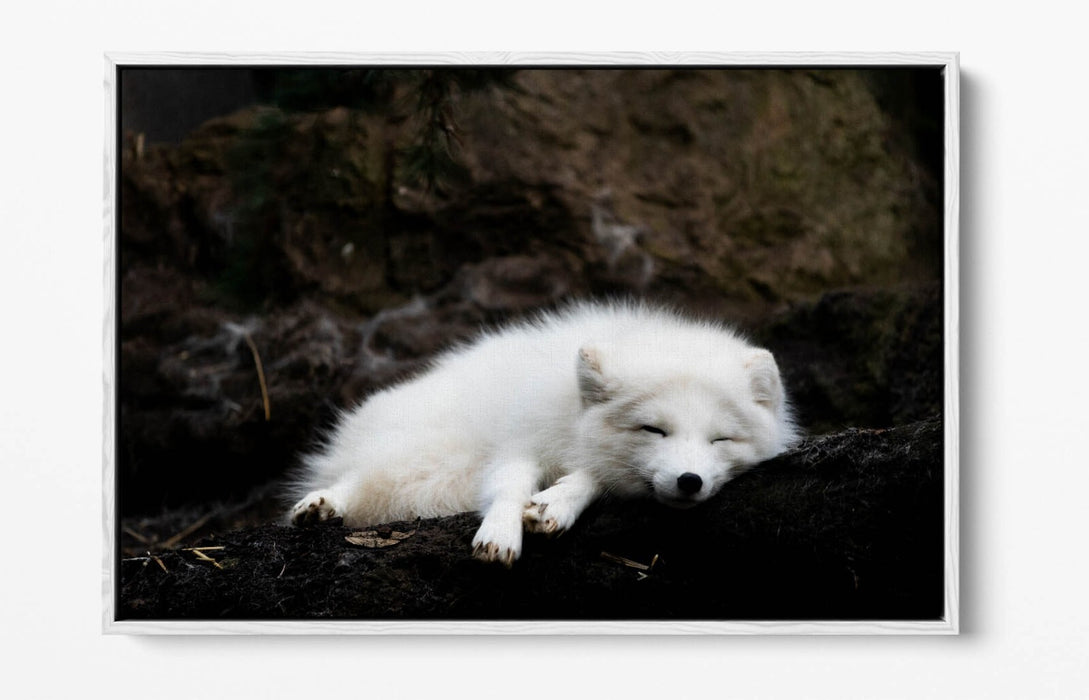 Wolf Canvas Art - Handmade Float Effect Canvas Wall Decor With Premium Frame