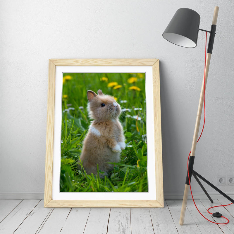 Bunny Wall Art – Framed Cute Rabbit Poster Print | Standing Rabbit Decor