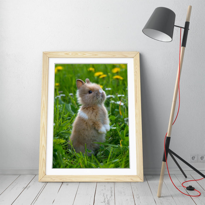 Bunny Wall Art – Framed Cute Rabbit Poster Print | Standing Rabbit Decor