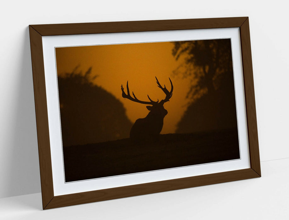 STAG SILHOUETTE SUNSET -WALL ART FRAMED POSTER PICTURE PRINT- ANIMAL PHOTOGRAPHY