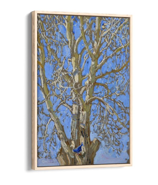 Float Effect Canvas Art - Handmade Bird Canvas Print With Premium 30mm Deep Frame