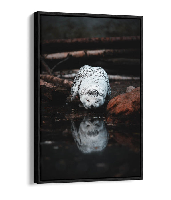 Snowy Owl Canvas Art - Float Effect Canvas Wall Art With Premium Varnish Finish