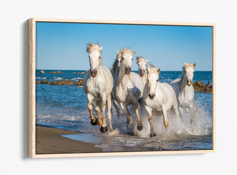 Canvas Wall Art - White Horses Running on Beach | Float Effect Print