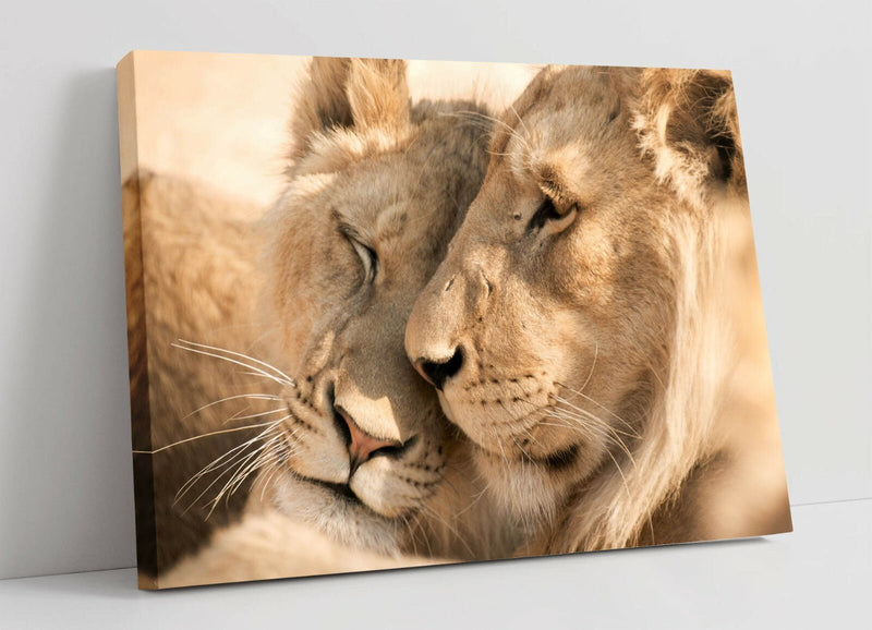 Wildlife Canvas Art | Premium Handmade Lion Print with Deep Frame & Satin Finish