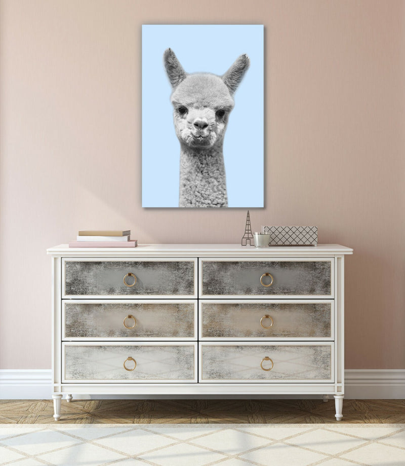 Alpaca Canvas Wall Art – Baby Alpaca Artwork on Blue Canvas Print with Custom Frame