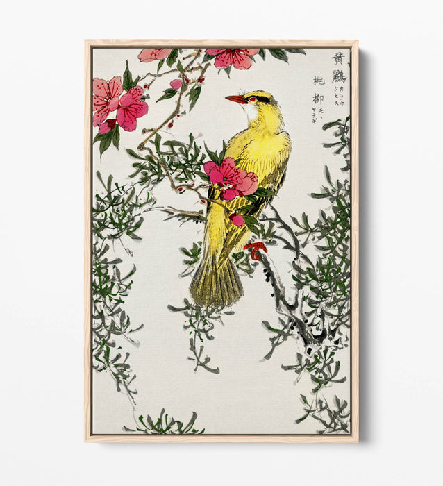 Canvas Wall Art | Handmade Float Effect Canvas Print with Premium Frame - Bird Design