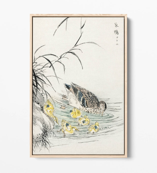 Canvas Wall Art Print - Duck and Ducklings Float Effect on Premium 30mm Deep Frame