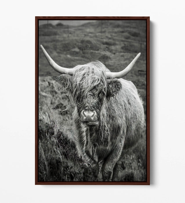 Highland Cow Canvas | Black and White Float Effect Wall Art Print - Handmade UK
