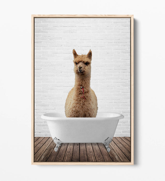 LLAMA IN BATHTUB -QUIRKY BATHROOM FLOAT EFFECT CANVAS WALL ART PIC PRINT