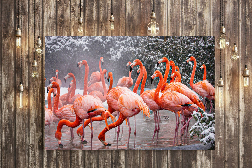 FLAMINGOS  CANVAS WALL ART PICTURE ARTWORK FRAMED PRINT DEEP FRAMED