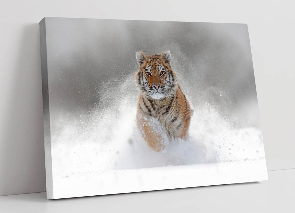 Tiger Canvas Wall Art – Wildlife Canvas Print | Handmade Ready To Hang Artwork
