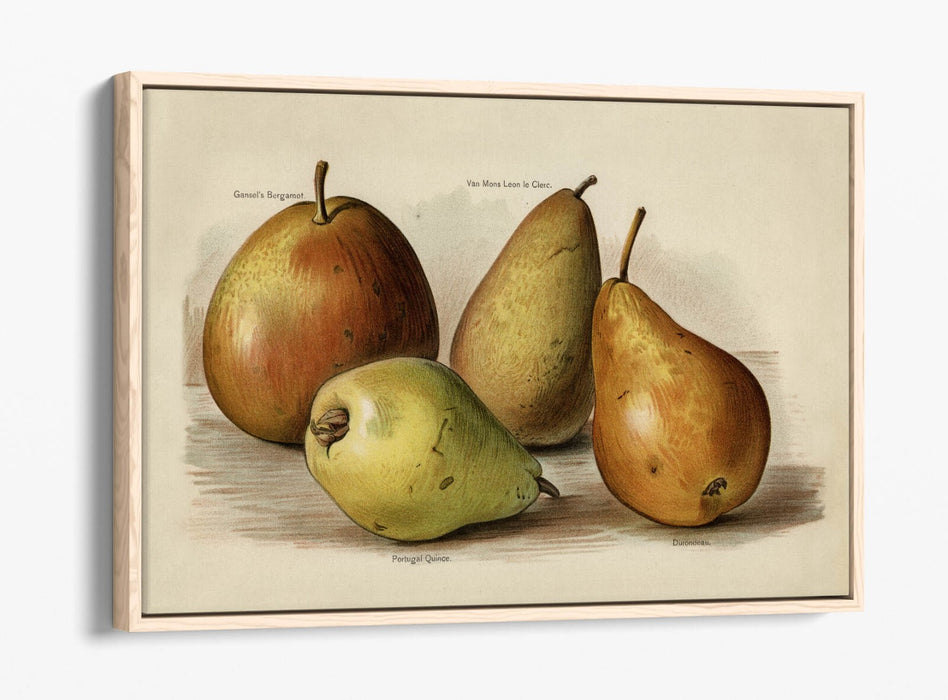 Canvas Wall Art | Handmade UK Canvas With 30mm Deep Frame & Scratch Resistant Premium Varnish