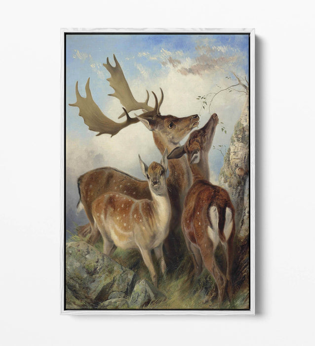 Float Effect Canvas Art - Fallow Deer Wall Art with Custom MDF Frame