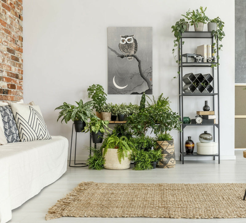 Owl Canvas Wall Art – Handmade Japanese Owl Print on Archival Grade Canvas
