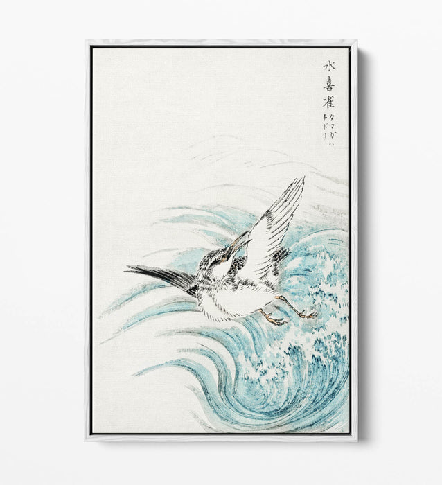 Float Effect Canvas Art - Mongolian Plover Print on 30mm Deep Frame