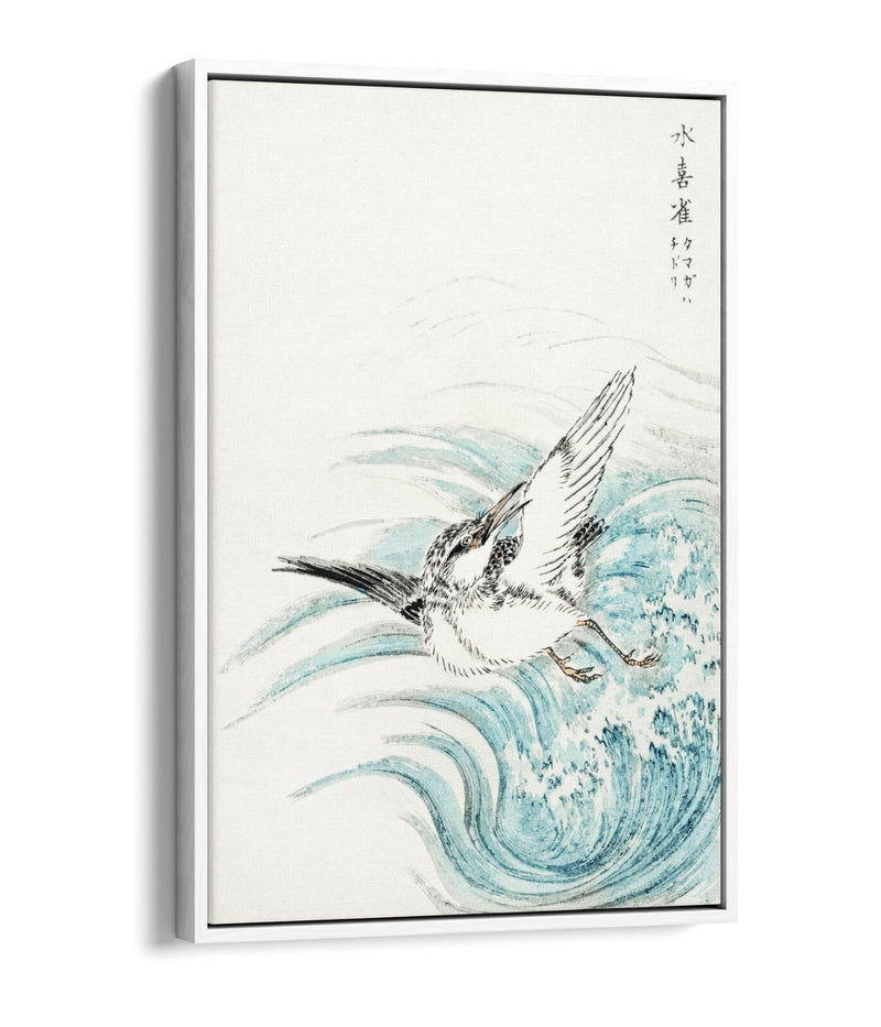 Float Effect Canvas Art - Mongolian Plover Print on 30mm Deep Frame