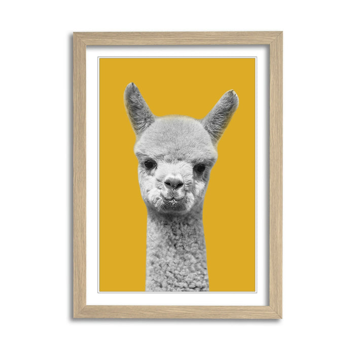 Happy Alpaca Wall Art – Framed Black White Poster With Yellow Mustard Decor