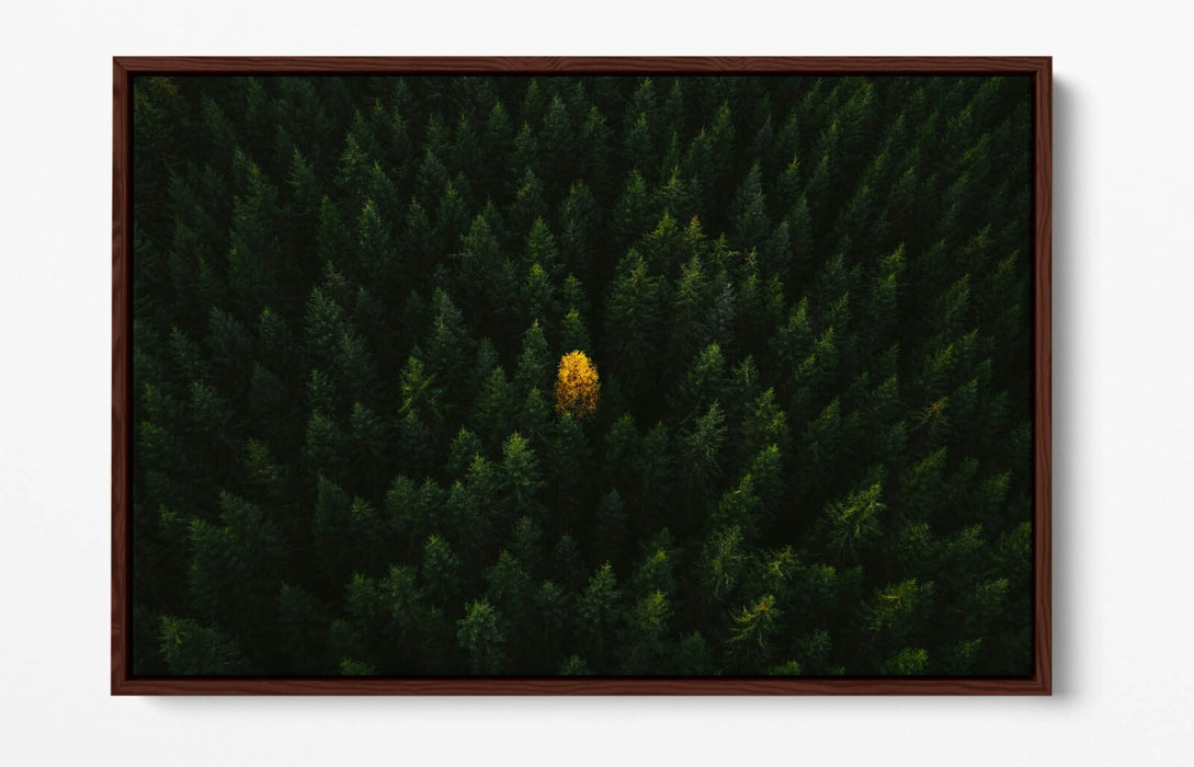 YELLOW TREE IN FOREST HOME BEDROOM DECOR FLOAT EFFECT CANVAS WALL PRINT