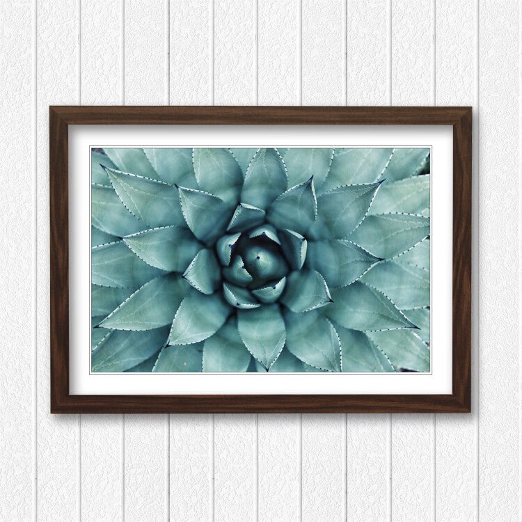 Canvas Wall Art – Framed Green Succulent Plant Poster With Scratch Resistant Finish
