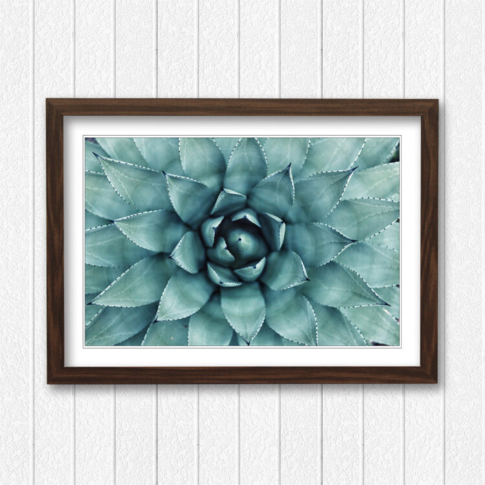 Canvas Wall Art – Framed Green Succulent Plant Poster With Scratch Resistant Finish
