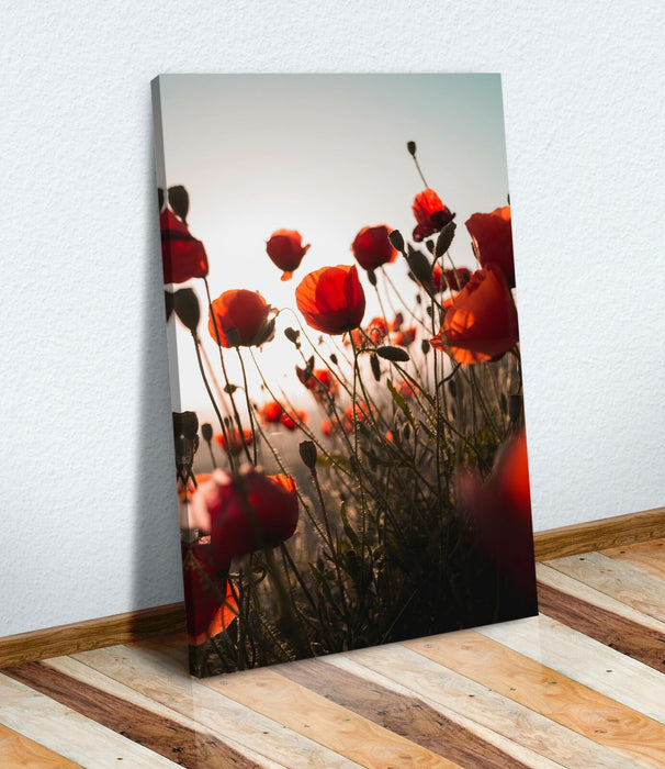 Canvas Wall Art – Framed Canvas Print 30mm Deep Frame Red Poppies Portrait