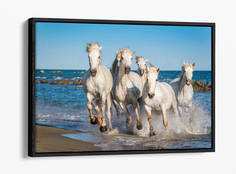 Canvas Wall Art - White Horses Running on Beach | Float Effect Print